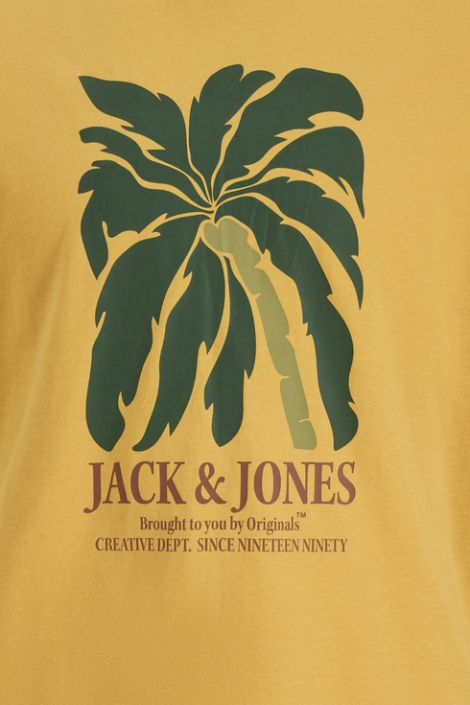 Jack & Jones jordown tee ss crew neck stydss25